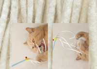 Tongkat Kucing Berbentuk Lonceng Plastik, Alat Penggoda Kucing, Tongkat Pancing, Mainan Penghibur Diri, Tahan Gigitan, Untuk Penggunaan Dalam Ruangan, Perlengkapan Hewan Peliharaan