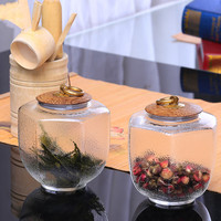Contenants en verre écologiques faits à la main, transparents, hexagonaux, en verre borosilicate de haute qualité, pour le stockage des aliments et du thé, avec couvercles en bambou