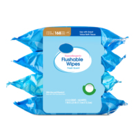 Lingettes humides jetables pour toilettes, parfum frais, à base de plantes, hypoallergéniques, pour adultes, lingettes intimes nettoyantes jetables en gros