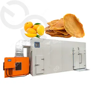 Hot Sale Fig Drying Equipment Meat Fish Mango Drying Dried Vietnam Mango Machine For Drying Mango