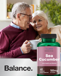 OEM Private Label Seco Pepino Do Mar Extrato Suplemento De Energia Melhor Preço Pepino Do Mar <span class=keywords><strong>Peptide</strong></span> Em Pó Pepino Do Mar Cápsulas