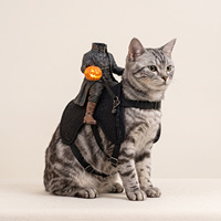Tenue pour animaux de compagnie Spooky Pumpkin Rider, Costume de cavalier noir, Fournitures pour Halloween, mariages, fêtes, Cadeaux, Souvenirs, Articles de collection