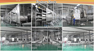 Enredos marinos verduras Gulfweed Sargassum malla de algas banda transportadora continua Máquina secadora equipo de secado - Product Image 4