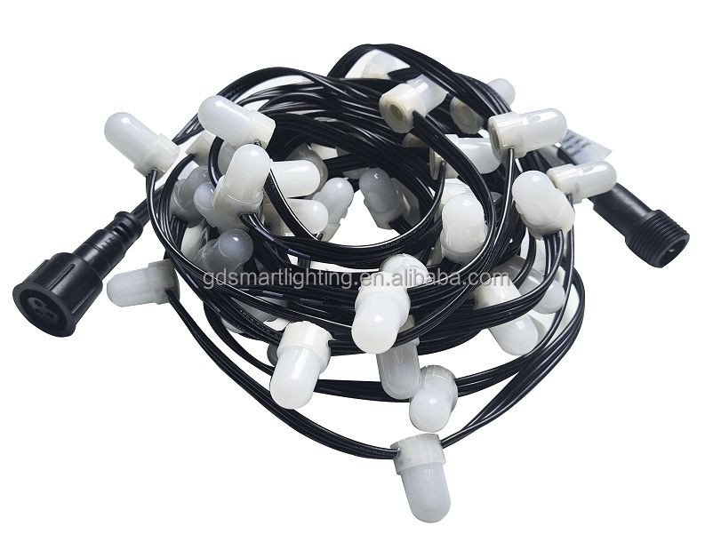 12mm Diameter DC12V 0.15W 50pcs/string IP67 Waterproof RGB LED Pixel String Light for House Garden Decoration