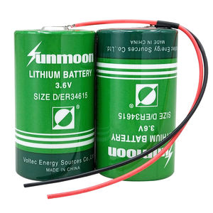 SUNMOON ER34615-2 Size 19000mAh ukuran D baterai utama Pak untuk alat pengukur aliran air <span class=keywords><strong>IoT</strong></span> - Product Image 6