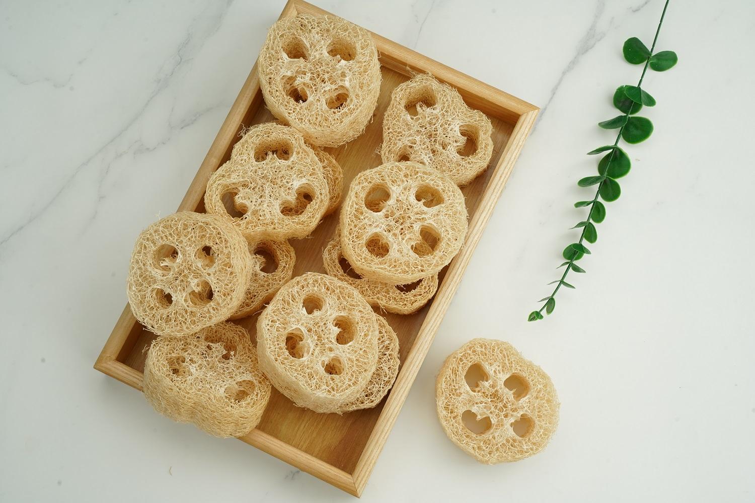 Loofah Slices