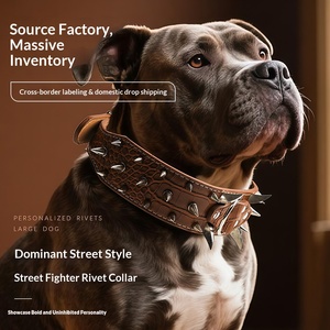 Nouveaux produits pour animaux de compagnie : Collier pour chien agressif en PU à rivets, anti-morsure, courbé et élargi, motif crocodile, avec boucle métallique - Product Image 2