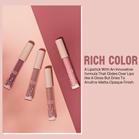 Longue durée haute Pigment Sexy lèvre mat Nude rouge à lèvres Kits mat cosmétique étanche rouge à lèvres