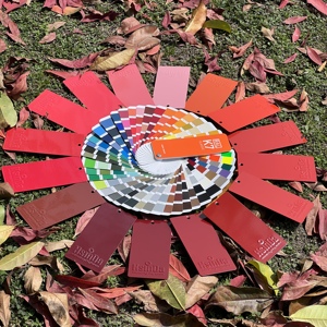 बुझाने और संरक्षण निर्माण के लिए लौ रेटेलेंट पाउडर कोटिंग दीवार केबल ट्रे - Product Image 4