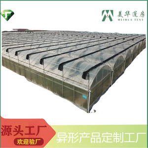 Serres agricoles monopente à grande couverture en polycarbonate pour la culture biologique de légumes et la pisciculture - Product Image 5