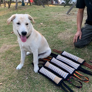 Bâton de dressage pour <span class=keywords><strong>chien</strong></span> en jute – Jouet à mâcher pour Berger <span class=keywords><strong>allemand</strong></span> et Mastiff – Récupération et attaque – Super résistant et souple - Product Image 1