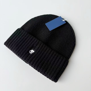 Luxueuze Ralph Po <span class=keywords><strong>Lo</strong></span> Pony Designer Wintermutsen Effen Kleur Gebreide Mode Warme Aanpasbare Logo Mutsen - Product Image 5