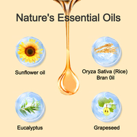 Huile de massage aux graines d'arbre à thé en gros OEM/ODM pour la perte de poids, la réduction des graisses, l'hydratation et le blanchiment, parfum terrestre pour massage spa