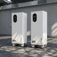 Sistem Baterai Tegangan Rendah Solax TB-LD160 16kWh untuk Penyimpanan Energi Surya Komersial dan Industri, serta Penyimpanan Energi Surya Rumah Tangga