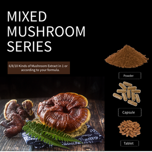 100% cibo di grado <span class=keywords><strong>Reishi</strong></span> fungo estratto di massa integratore sanitario Ganoderma Lucidum polvere di erbe in tamburo di imballaggio - Product Image 5