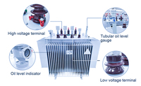 Transformateur immergé dans l'huile haute efficacité de 315 kVA à 1500 kVA, 33 kV 0,4 kV, pour les systèmes électriques industriels et commerciaux africains