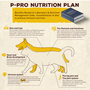 מזון כלבים למבוגרים יבש קבל תבואה בשר טרי חלבון גבוה עבור בריאות שריר - Product Image 3