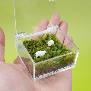 Miniatura de césped artificial para decoración de escritorio, oficina, planta verde creativa, adorno DIY, regalo para la temporada de graduación - Product Image 3