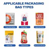 Venta de fábrica, bolsa prefabricada automática, café, leche, barbacoa, máquina de envasado en polvo Masala, máquina de llenado Ziplock Doypack