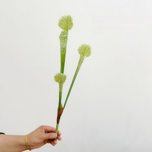 Nouveaux Arrivages Bouteille Artificielle Herbe Pichet <span class=keywords><strong>Plante</strong></span> <span class=keywords><strong>Venus</strong></span> Flytrap <span class=keywords><strong>Fleur</strong></span> Artificielle pour Mariage Noël Halloween Floral - Product Image 6