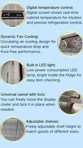 Réfrigérateur commercial 1000W <span class=keywords><strong>pour</strong></span> boissons avec compresseur externe, refroidissement rapide, sans givre, luxe, <span class=keywords><strong>pour</strong></span> supermarché - Product Image 5