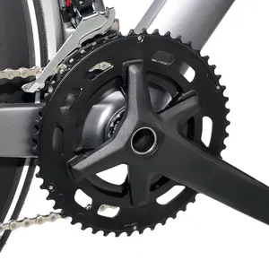 Manufacturer's Exercise Road Bike for Women Brushless Rear Hub Motor Aluminum Frame Lithium Battery 250/500W - Product Image 5