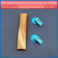 Science médicale fin anastomose intestinale modèle de formation kit de pratique de suture simulateur de formation de suture vulvaire