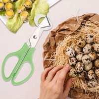 Gloway Kitchen Gadget Petit Ciseaux À Oeufs Outil Séparateur De Coquille D'oeuf Vert Ouvre-Pigeon Caille Coupe-oeufs Ciseaux