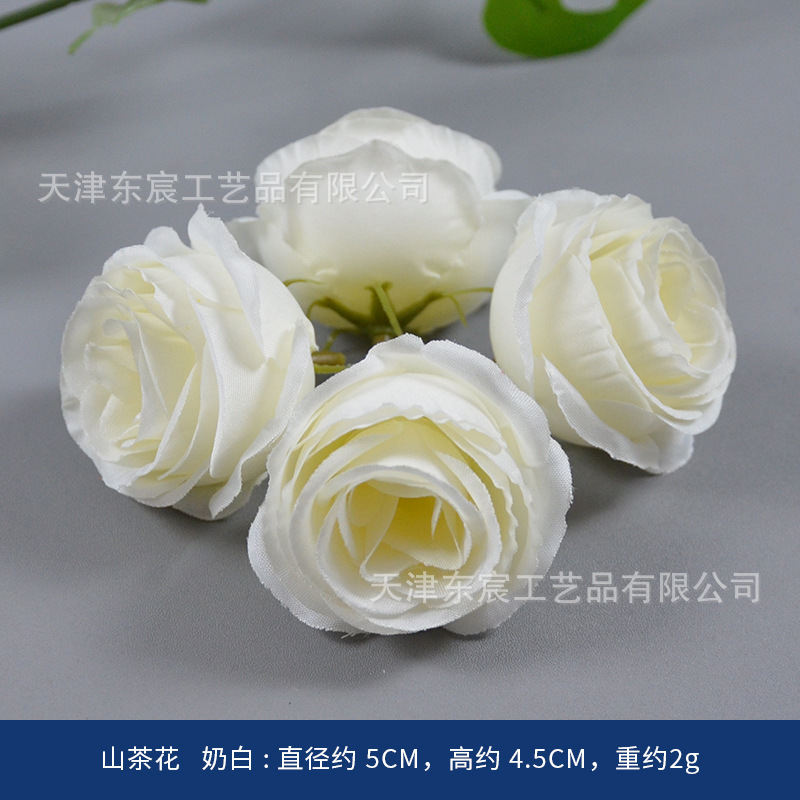 Camellia flowers, milky white