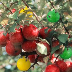 A48 Venta caliente jardinería invernadero fruta mosca pegamento insecto Catcher desechable Fly Catcher pegamento pegajoso fruta mosca trampa bola - Product Image 5