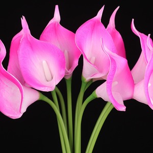Flores Artificiales de <span class=keywords><strong>Lirio</strong></span> de Cala de PU Premium - Flores Artificiales Realistas para Decoración de Bodas/Hogar/Oficina - Product Image 5