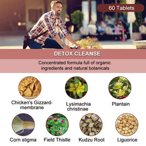 Wins Town Vegan Organic Urinary Support Limpieza de riñones y tabletas de dulces de desintoxicación Sabor de especias y hierbas 60 bolsitas/paquete - Product Image 2