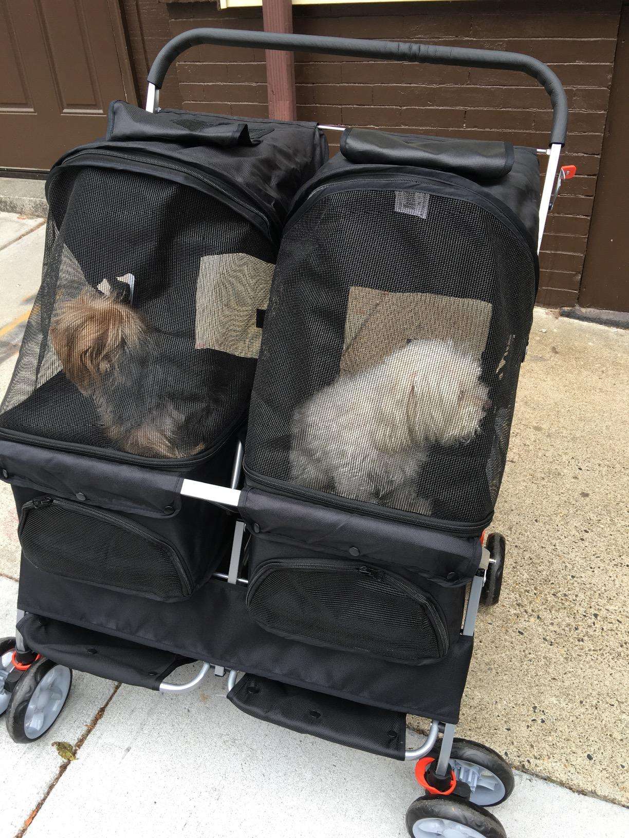 Double Pet Stroller Foldable Lightweight for Easy Travel