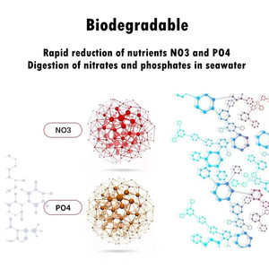 Dmwd — machine à <span class=keywords><strong>brassage</strong></span> de haricots d'eau de mer, séries n3 et poe, vente directe depuis l'usine - Product Image 2
