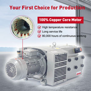 Wordfik VD160 150mbar 5.5kW 160m3/h Pompe à vide à palettes rotatives sèches sans huile pour extraire l'évacuation Dégazage Pick and Place - Product Image 3