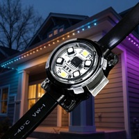 Cadena de Luces LED RGBW Direccionables de 1.8W, Bombilla de Píxeles LED de 20mm, SPI/DMX512, Impermeables IP68, DC24V, Luces Puntuales LED para Paisajismo Exterior
