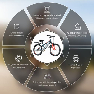 Bicicletta da Montagna per Bambini e Ragazzi con Freni a V, 18 20 22 Pollici, Disponibile in Fabbrica, Servizio OEM, Bicicletta Sportiva - Product Image 3