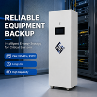 Armoire de stockage d'énergie mobile LiFePO4 51,2V 420Ah avec protection BMS et CAN RS485 RS232