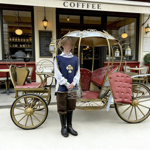 Arrivée d'une limousine de mariage et de tourisme, d'une calèche de style anglais, d'une calèche de prince, d'une calèche à chevaux, d'une calèche incroyable, d'un cabriolet, d'une caravane - Product Image 5