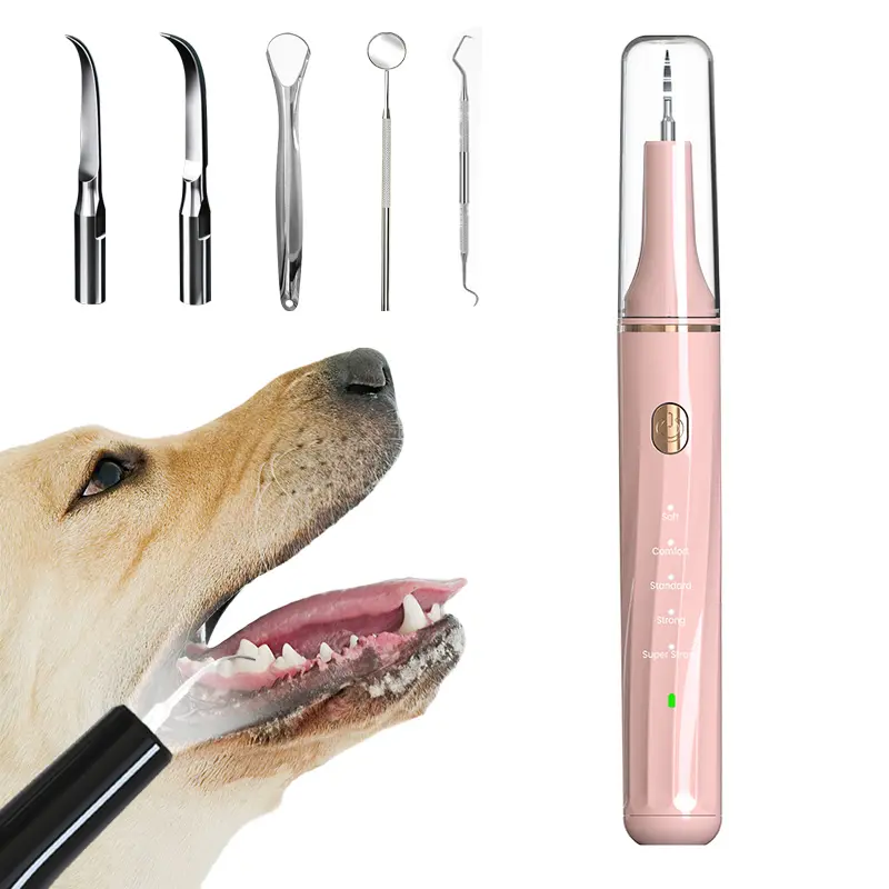 プロのペット電気カルスリムーバーポータブル犬超音波歯クリーナー歯科用スケーラー