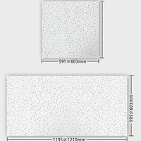 Plaques de plafond suspendu 2x4 en fibres minérales Acoustics, design pour faux-plafond, noires, pour hôpital