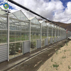 Produits les plus vendus <span class=keywords><strong>de</strong></span> l'usine : une variété <span class=keywords><strong>de</strong></span> serres agricoles intelligentes à grande échelle pour la culture <span class=keywords><strong>de</strong></span> la tomate avec éclairage transparent. - Product Image 3