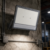 Projecteur LED étanche IP65 pour extérieur avec télécommande et capteur de détection