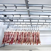 Congélateur à viande automatique haute efficacité avec compresseur et moteur Copeland, écologique, pour ligne de transformation de la viande