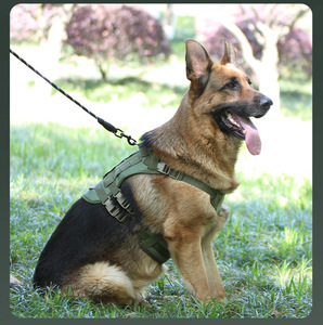 Tactical No Pull Heavy Duty Nylon Sport Breathable <strong>Dog</strong> <strong>Collar</strong> &amp; Harness Set <strong>Dog</strong> Vest Leash Pet Accessories Supplies Wholesale - Product Image 5