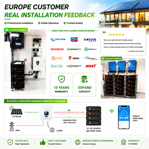 Batería de Iones de Litio CERRNSS, Precio de Fábrica, <span class=keywords><strong>5kwh</strong></span>, 10KWH, 15KWH, 51.2V, para Almacenamiento de Energía <span class=keywords><strong>Solar</strong></span> en el Hogar, Batería Lifepo4 de 48v, 100ah, 200ah, 300ah - Product Image 5