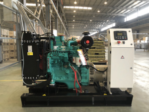 1000gf-k jdec chidong im lặng điện máy phát điện máy phát điện cho nhà <span class=keywords><strong>DIESEL</strong></span> 1mW - Product Image 5