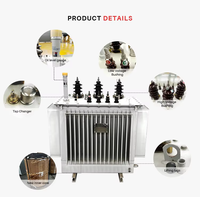 Transformateur immergé dans l'huile H61 H59 160 kVA, 3 phases 10 kV 380 V, haute efficacité, faible perte, bobine à double enroulement, alimentation électrique de distribution