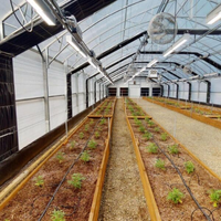 Serre de privation de lumière occultante à film de type tunnel à portée unique pour champignons et plantes médicinales avec lumières de croissance LED