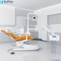 Fauteuil dentaire Buffalo Poland avec éclairage LED à fibre optique et fonction mémoire